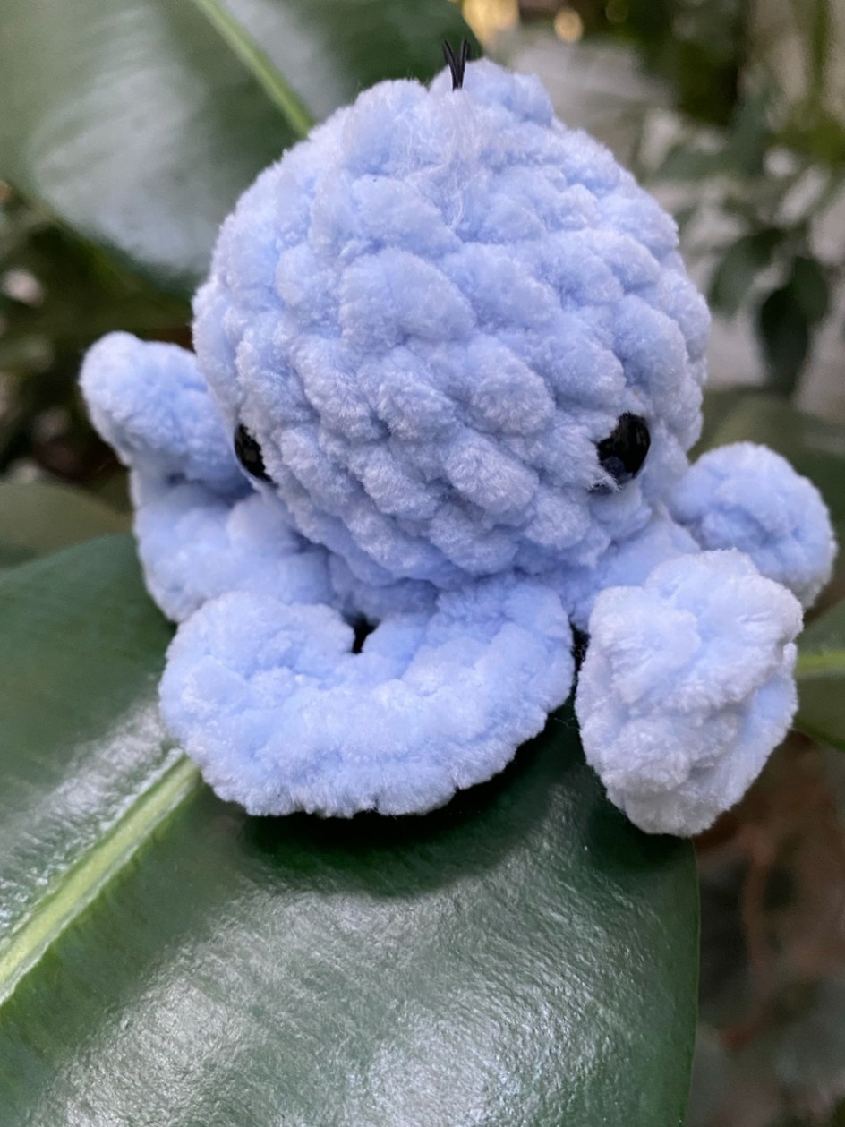 Осьминожка