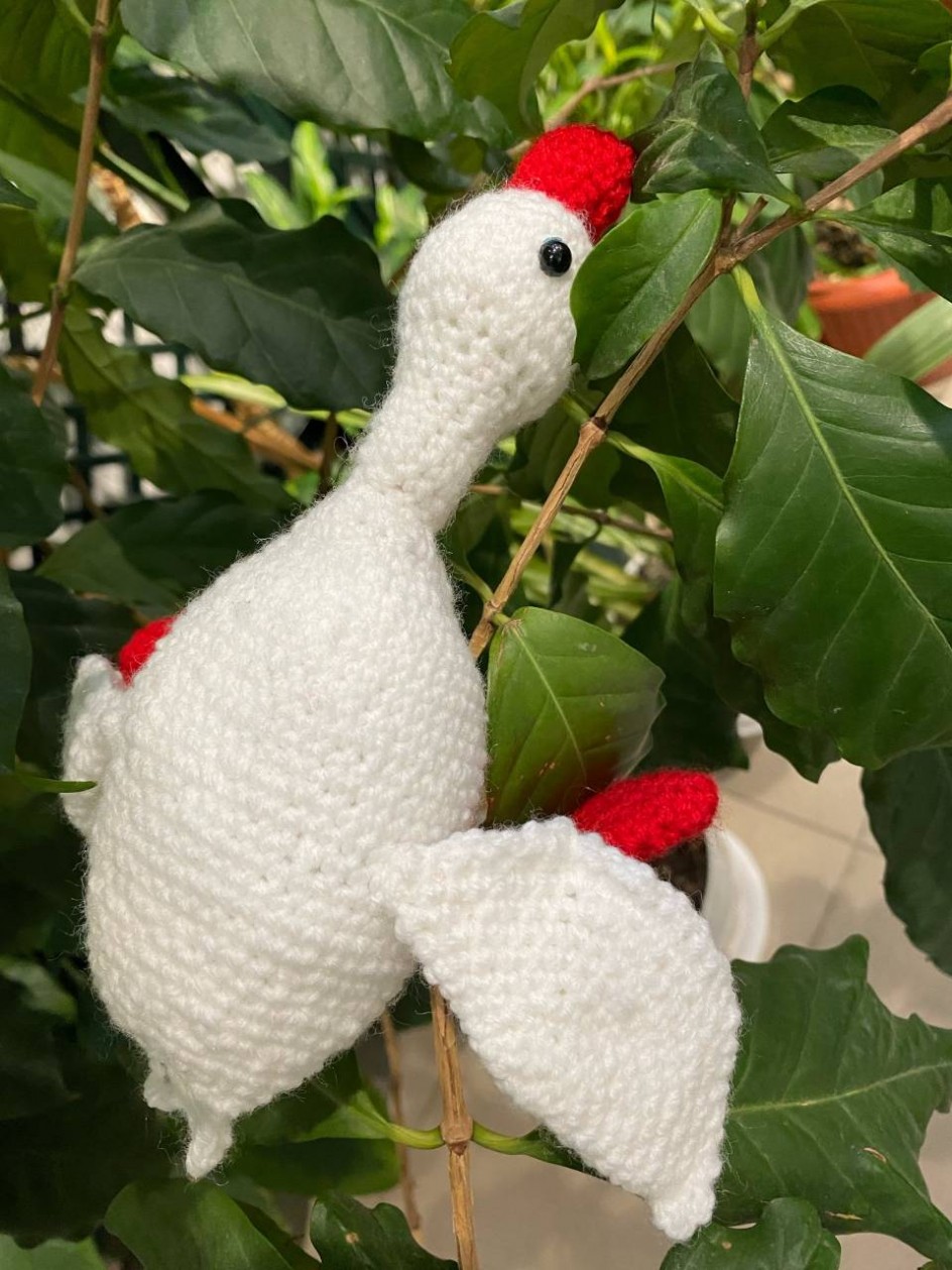 Гусь-обнимусь