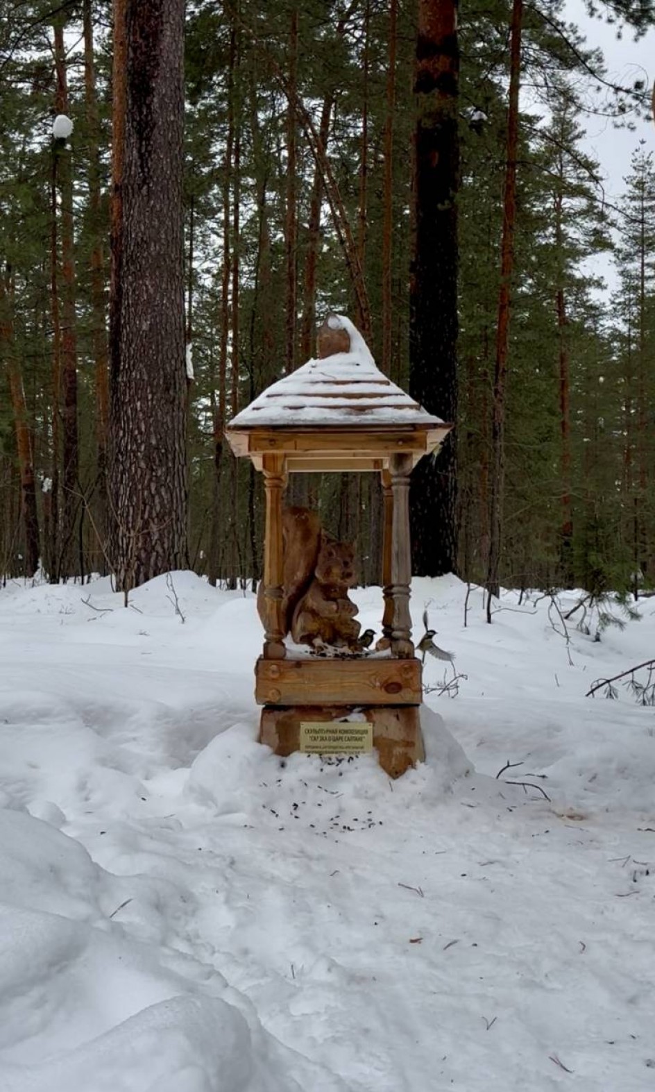 Синицы в Сказочном лесу