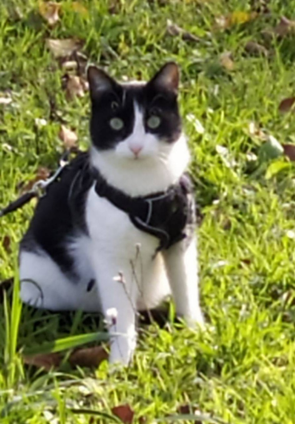 На прогулке