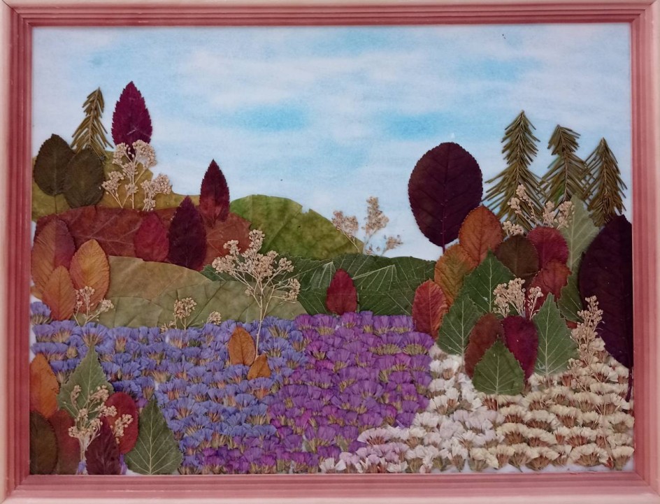 цветочный луг