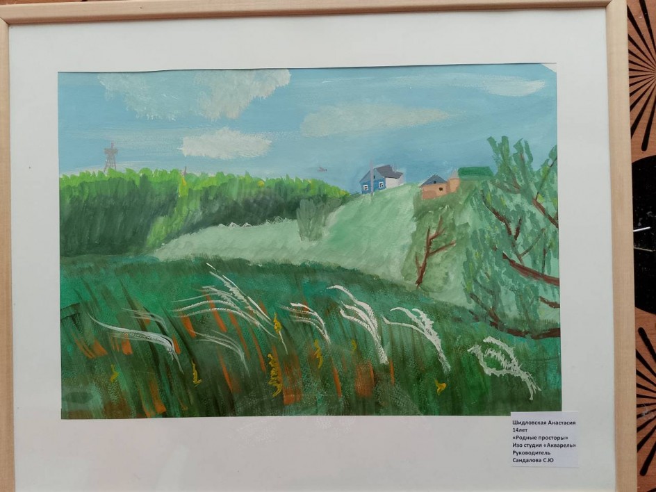 Ковыль в степи.