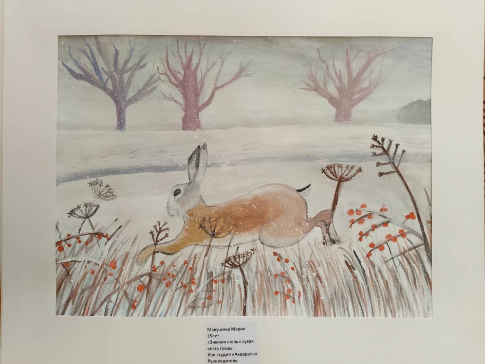 Зимняя степь