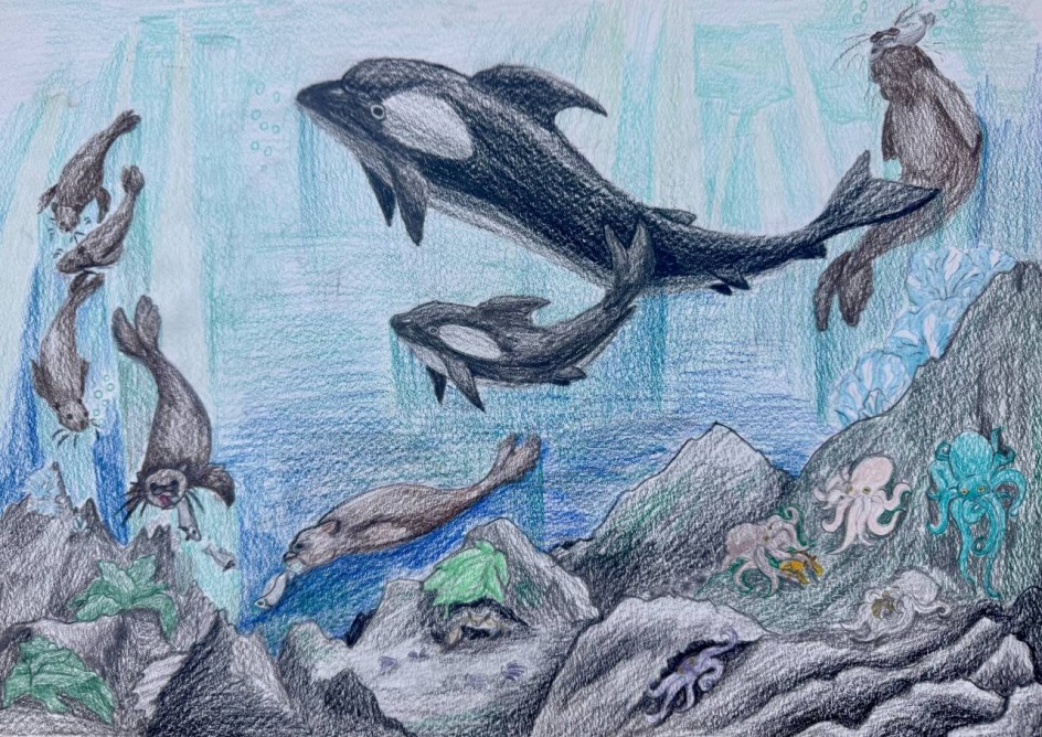 Дальний Восток. Сахалин. Свет в глубине.