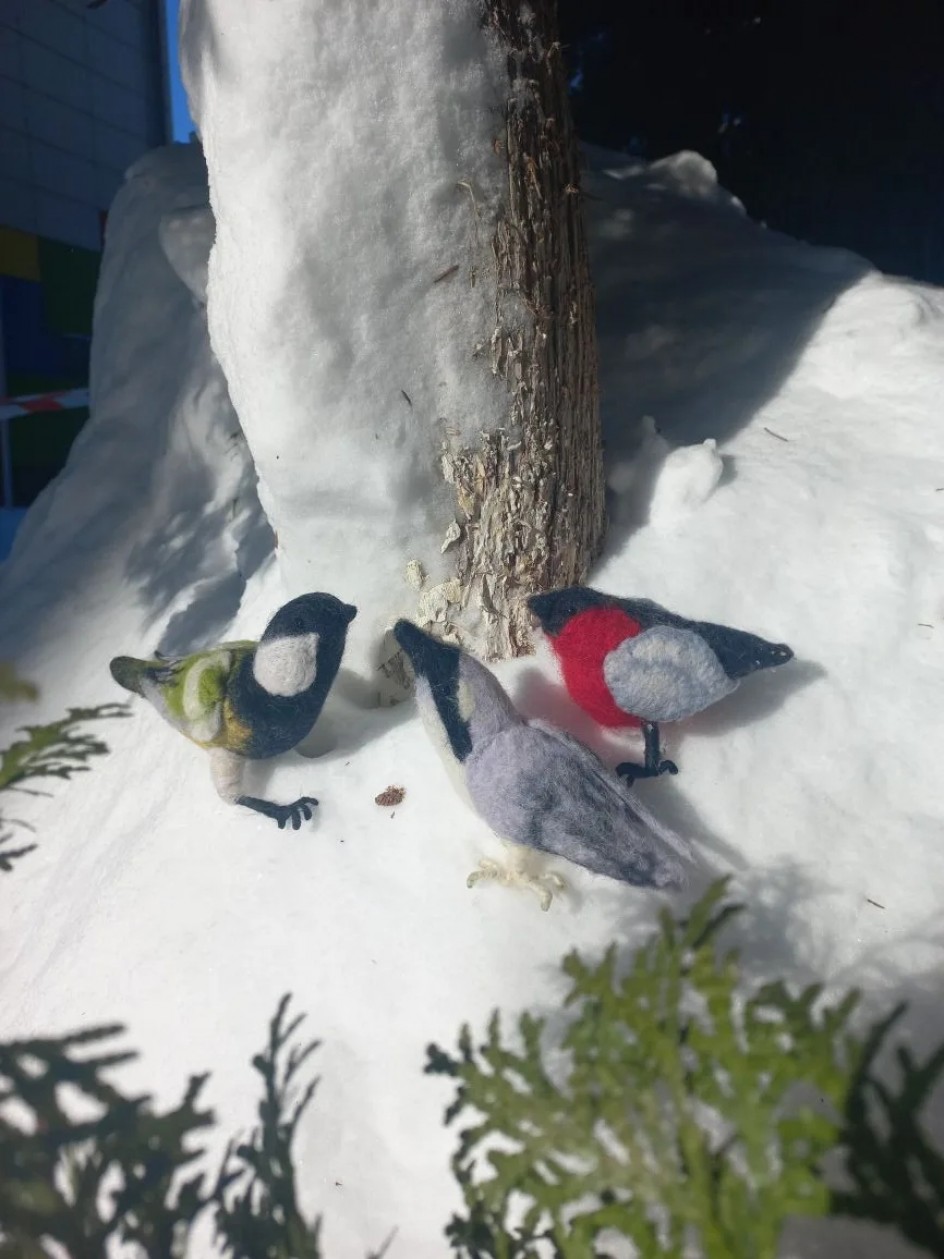 Птицы моего края