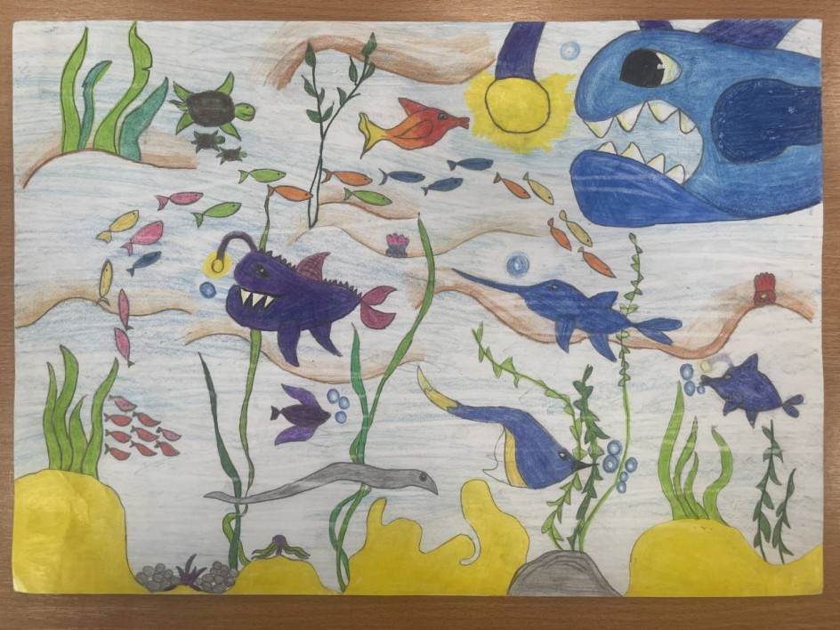 Пёстрый подводный мир