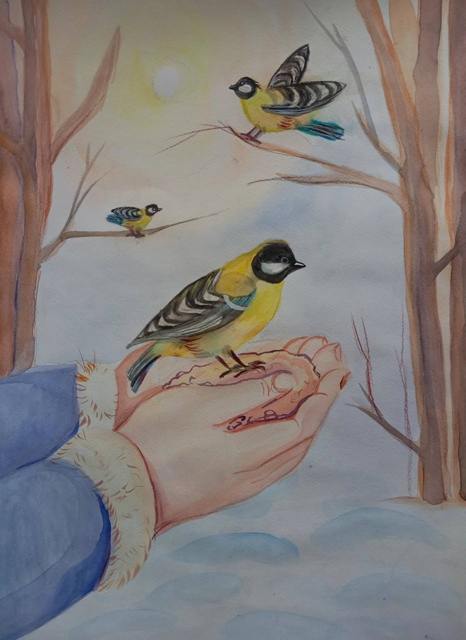 "Забота  о птицах"