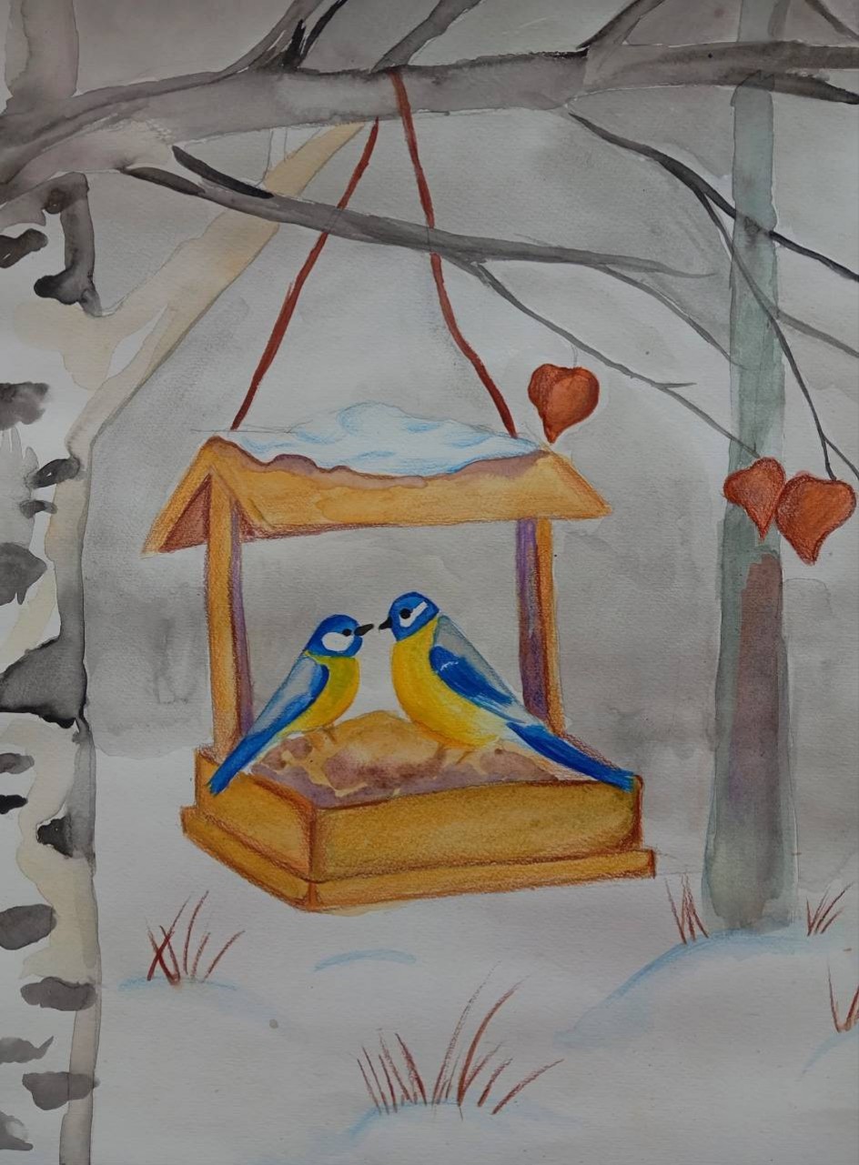 "Забота о птицах"