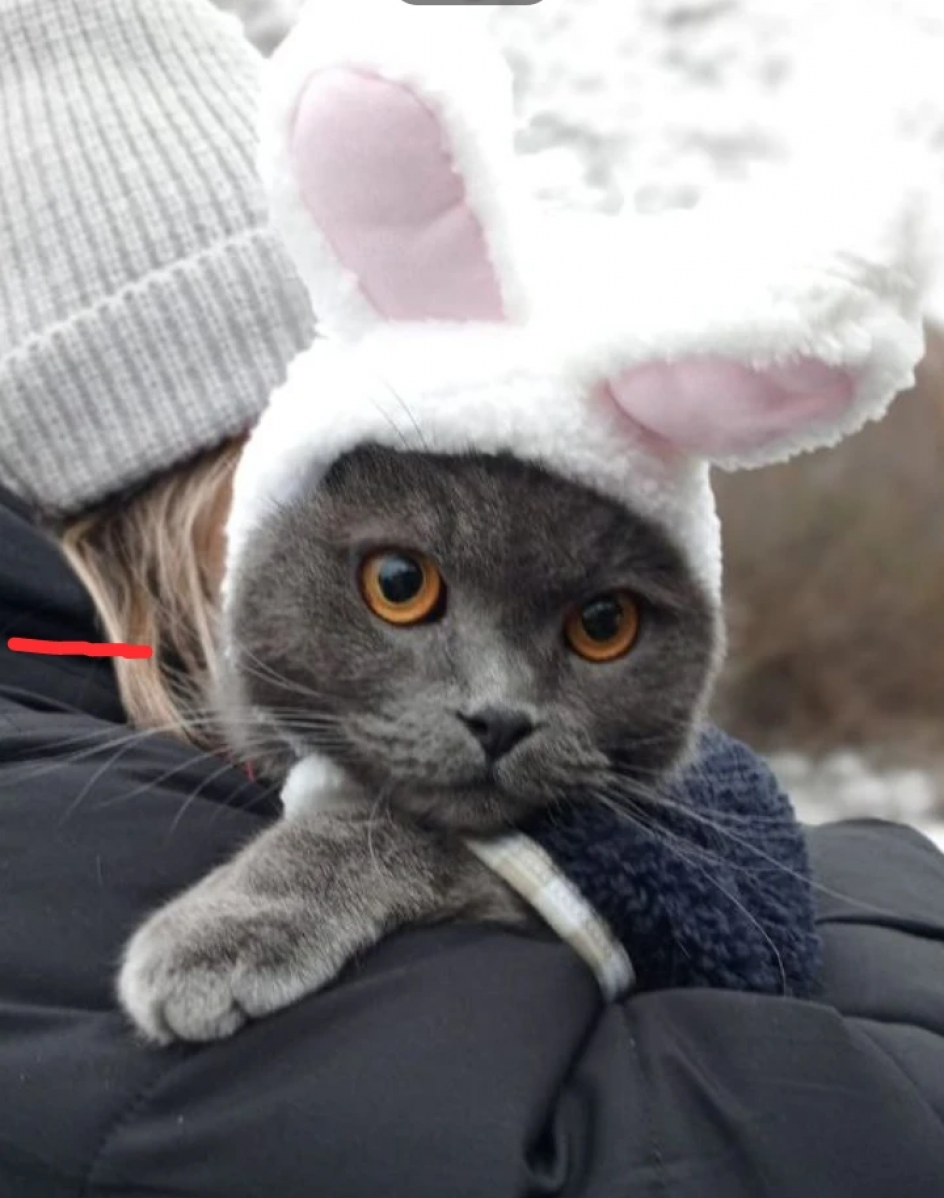 "Мой любимчик"