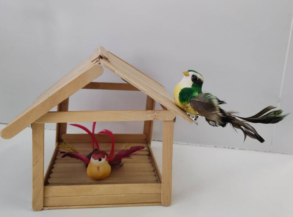 "Гости прилетели!"