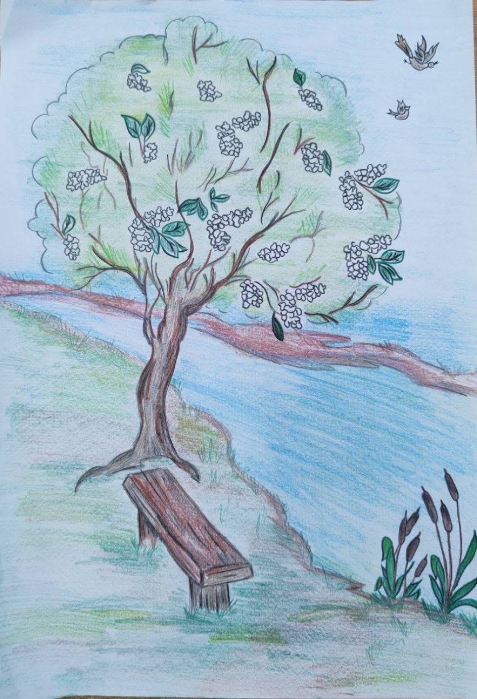 "Любимое место на берегу реки"