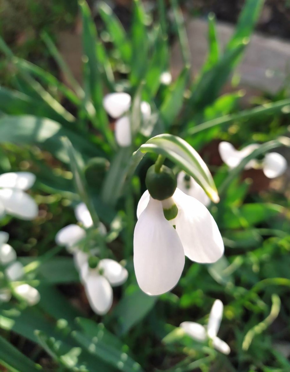 А у нас во дворе...