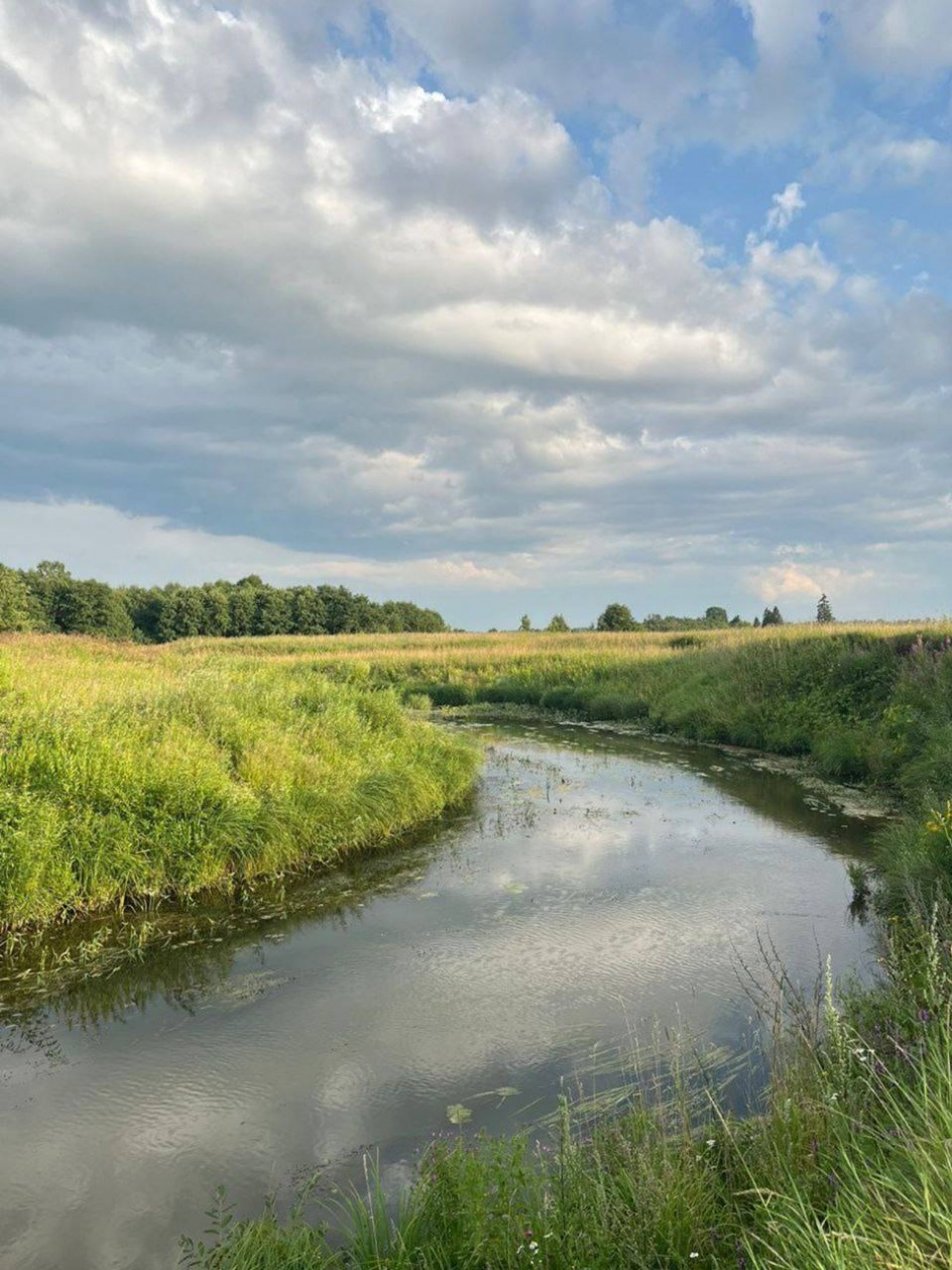 "Летний пейзаж"