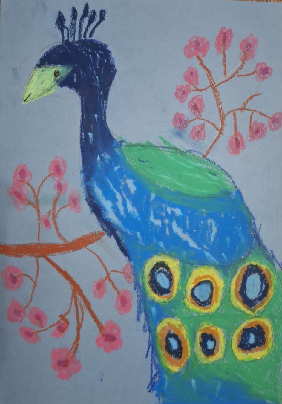 Великолепие хвоста