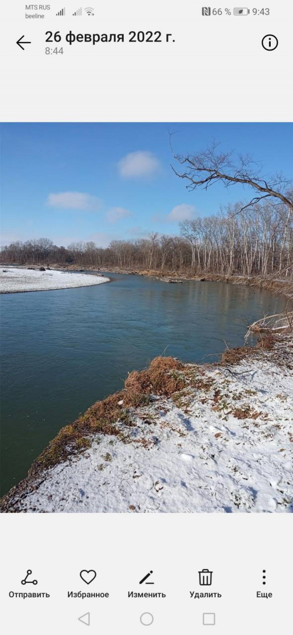 Художественный руководитель