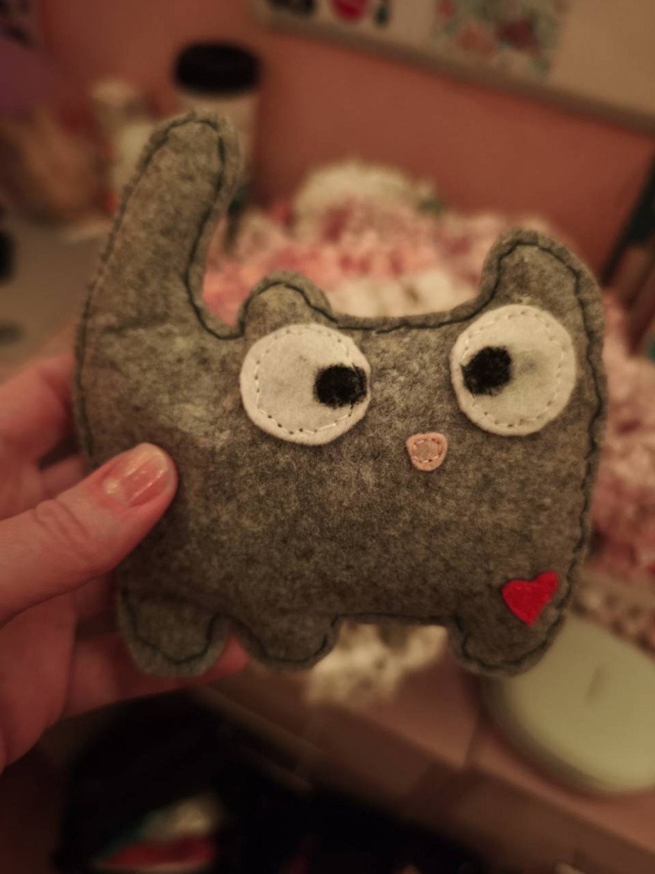 Любимая кошка