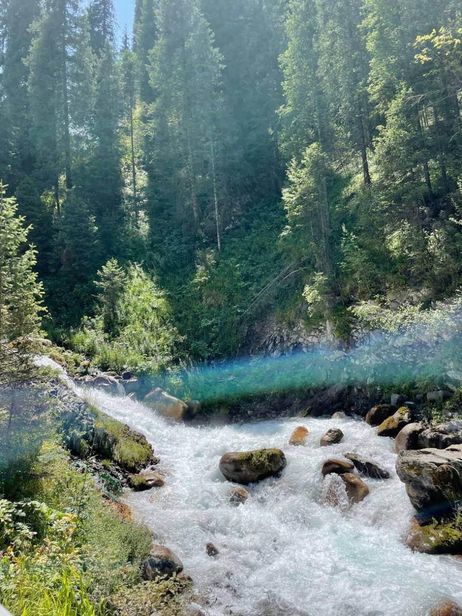 "Песня горной реки в царстве  елей и берез"