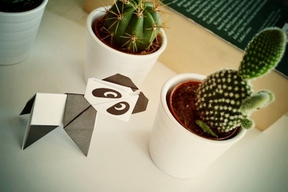 Пандочка-подружка!