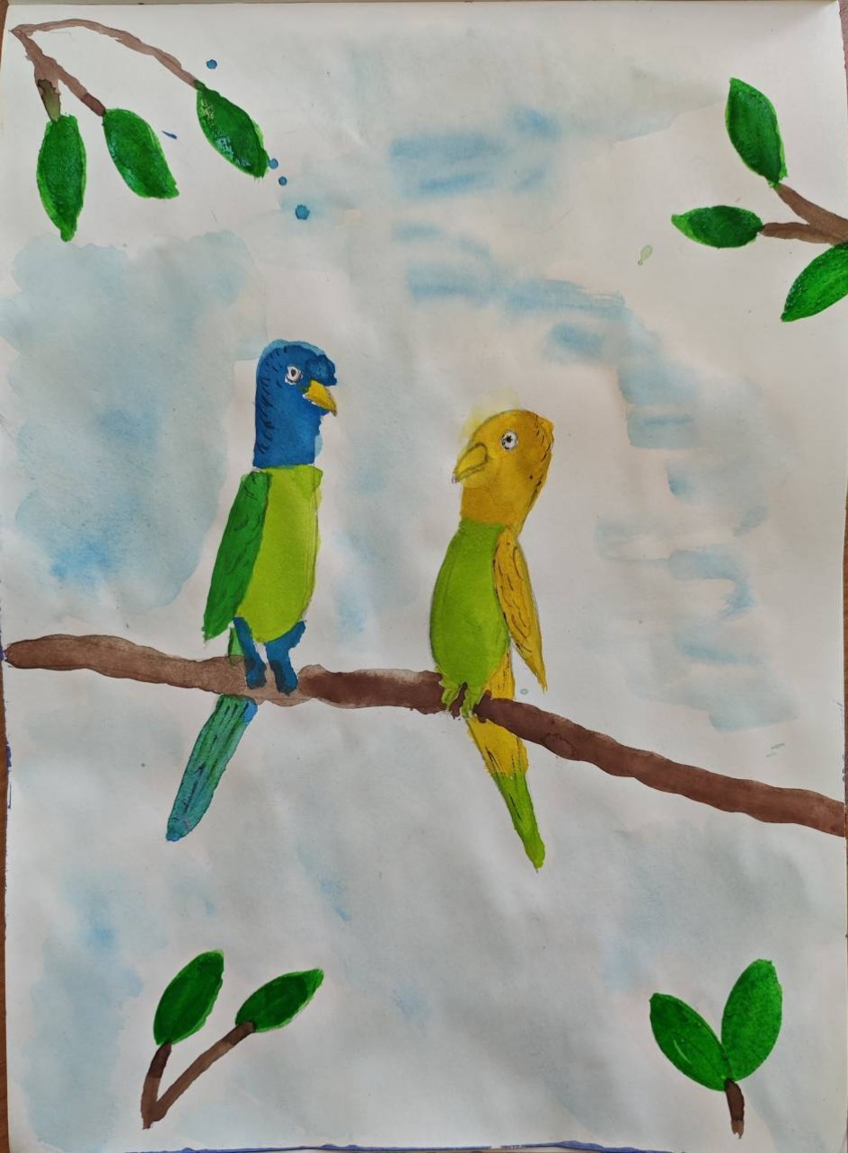 Попугайчики