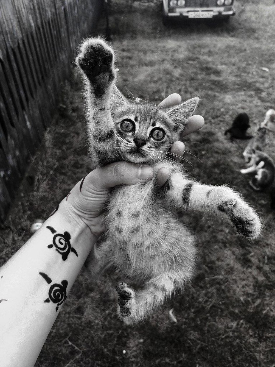 Лучший друг