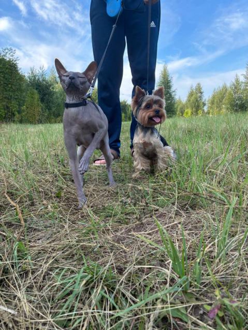 Мои любимки