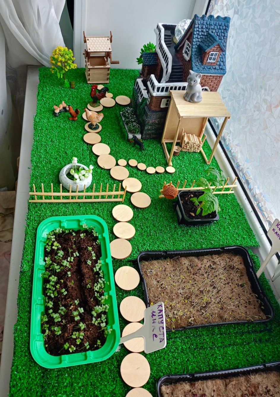 Исследовательская работа "Огород на подоконнике"