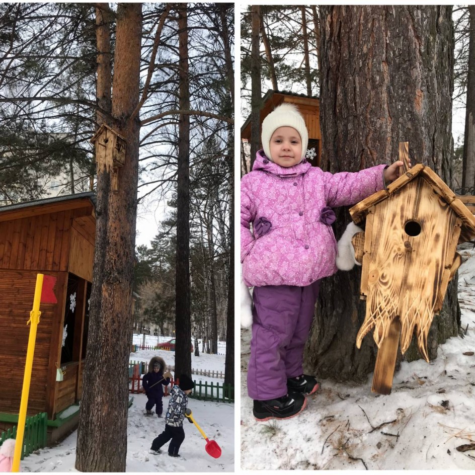 «Дом для скворцов»