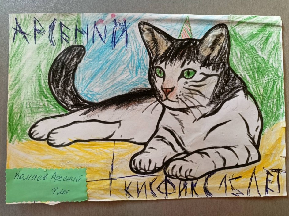 Мой любимый кот