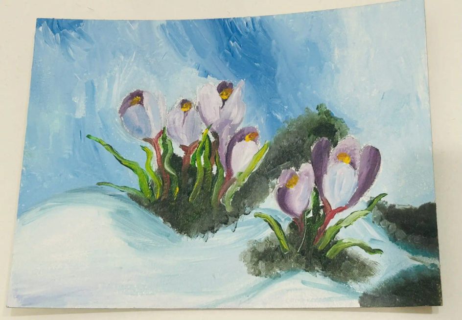Милые крокусы