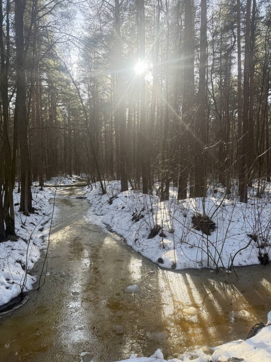 Весна пришла
