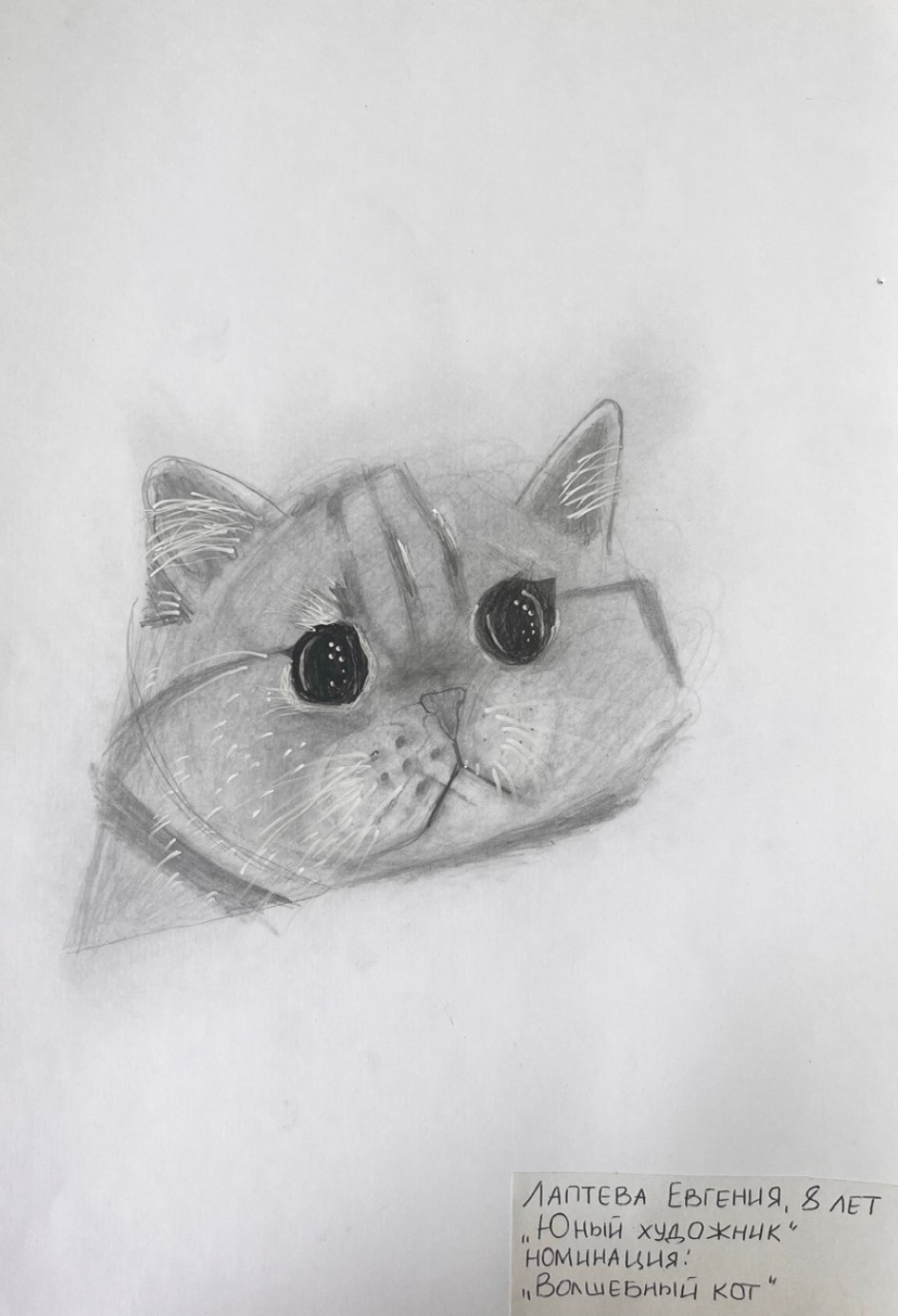 Волшебный кот