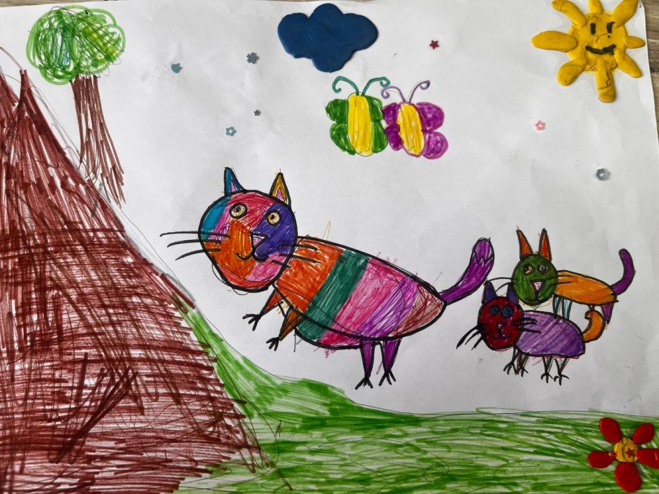 Котосемья пошла в поход