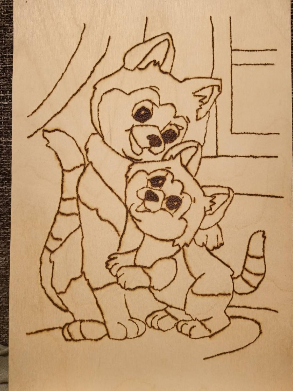 Любимые кошки