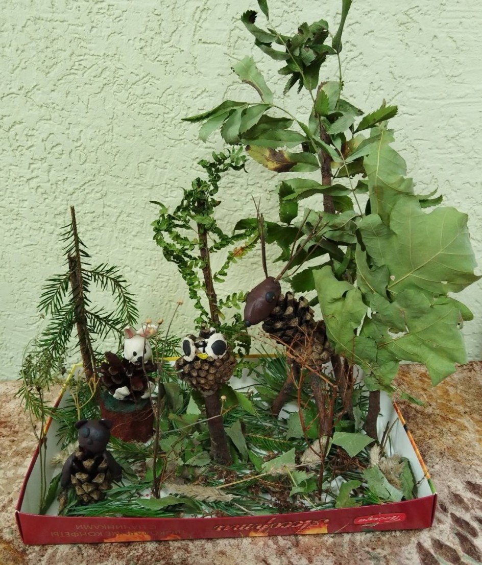 Чудеса леса