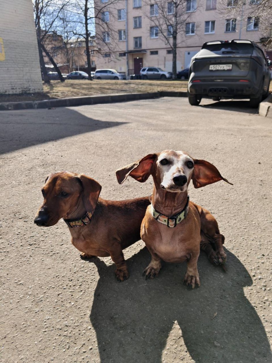 Весна! Впитываем солнышко каждым сантиметром тела!