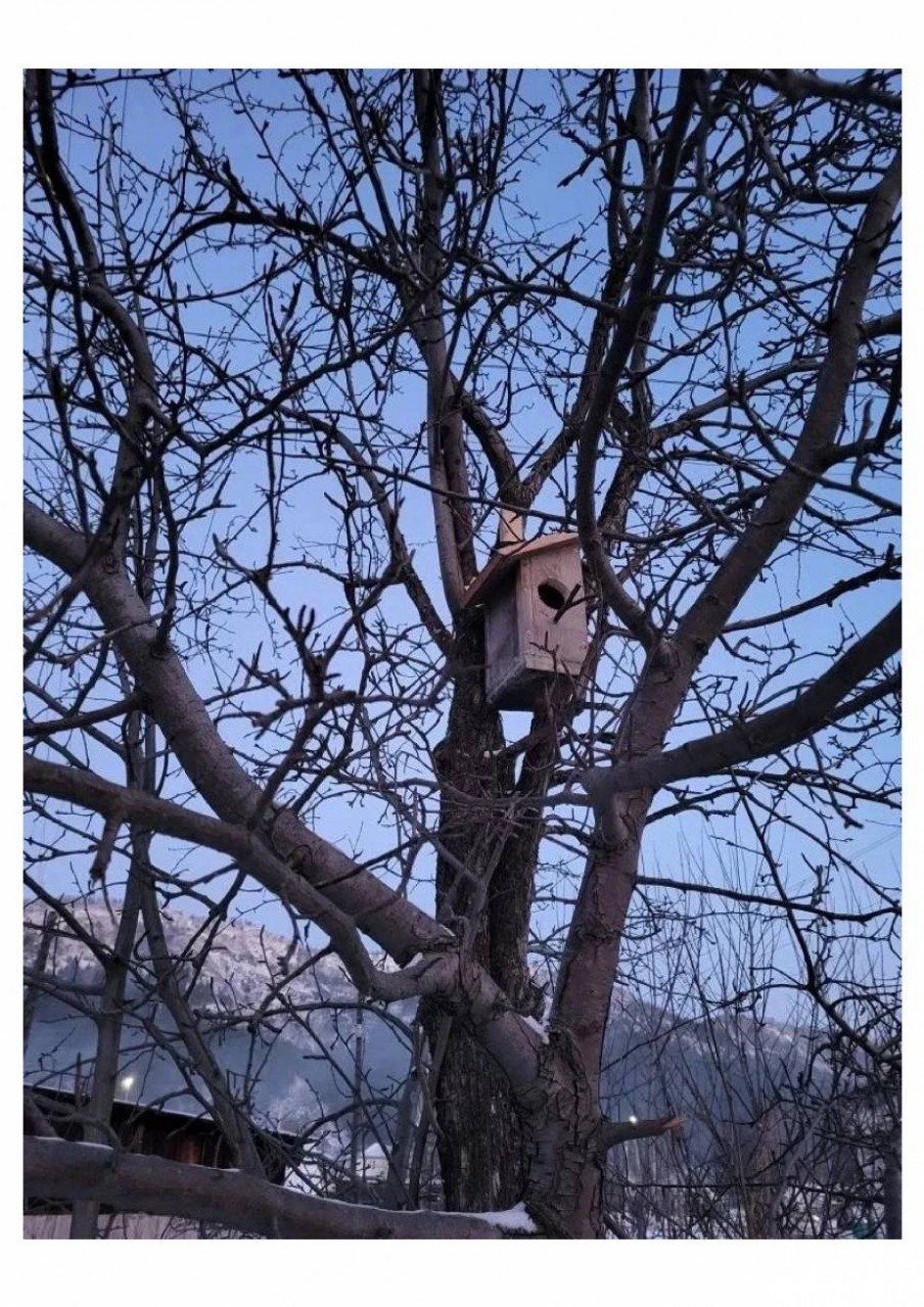 "На страже весны"