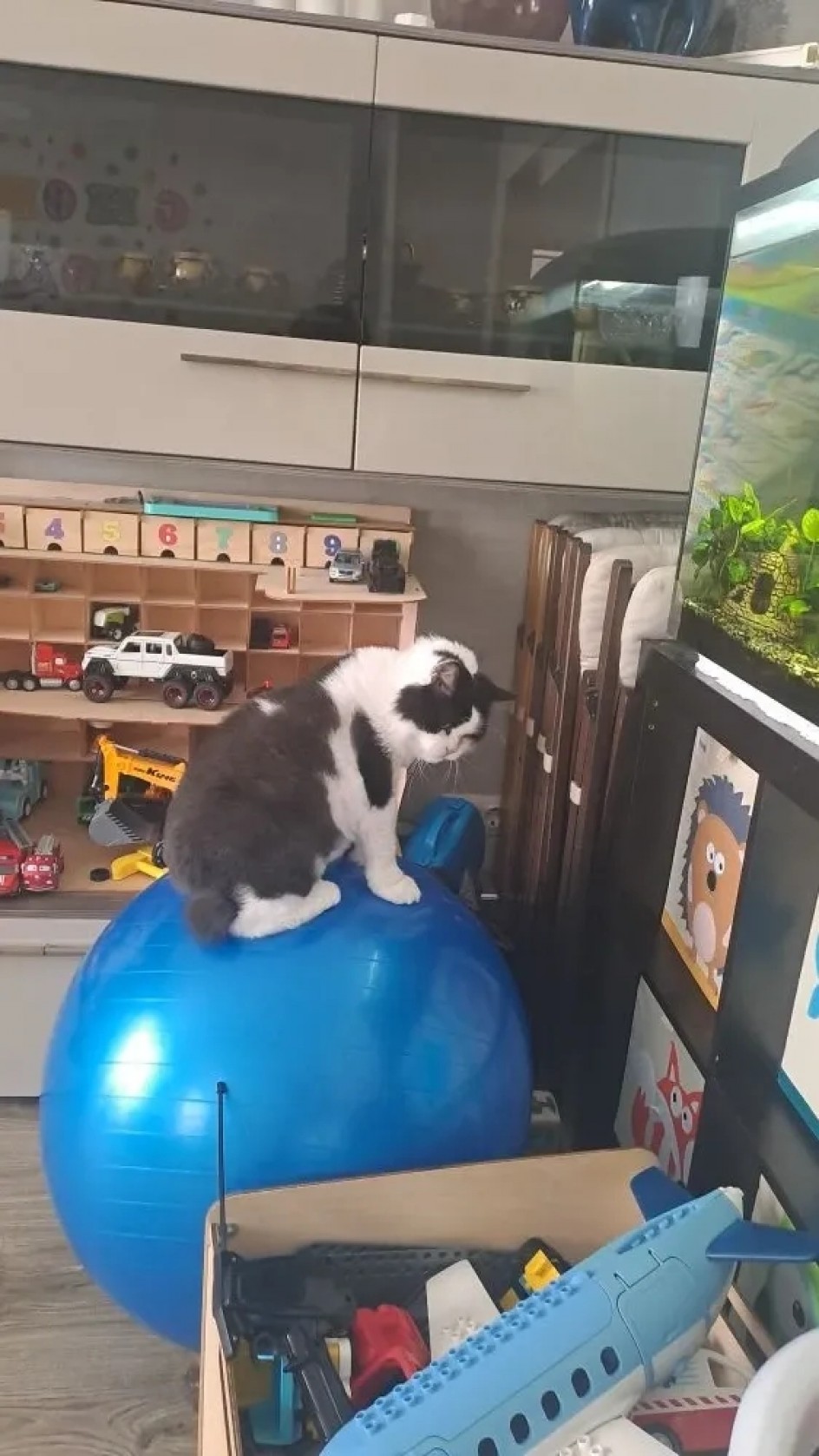 "Это всё моё"