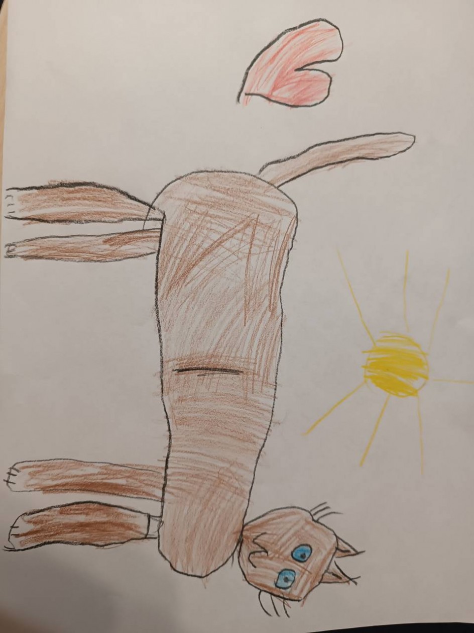 Мой любимый котик