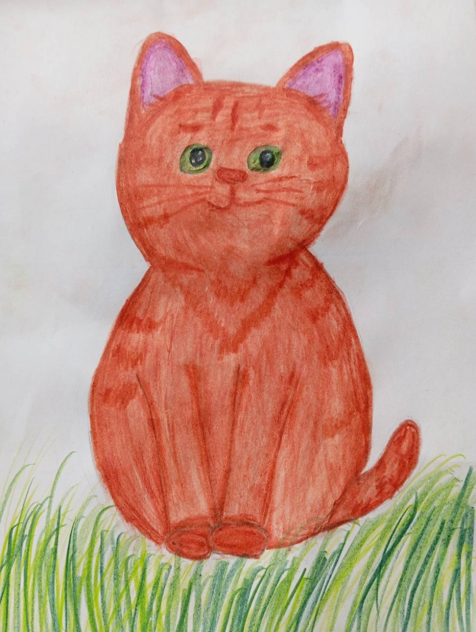 "Кот Персик"