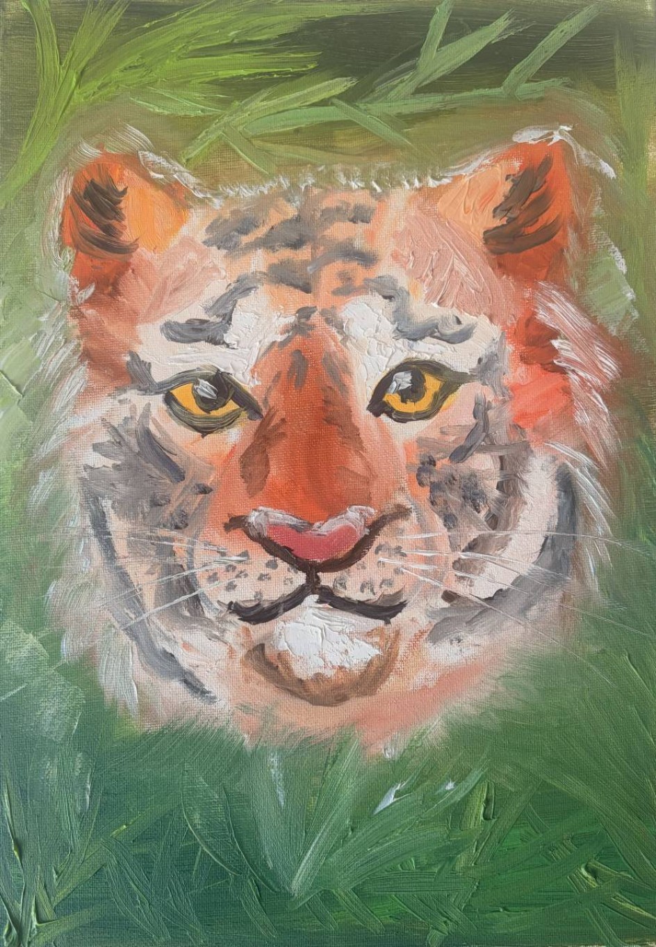 Амурский тигр