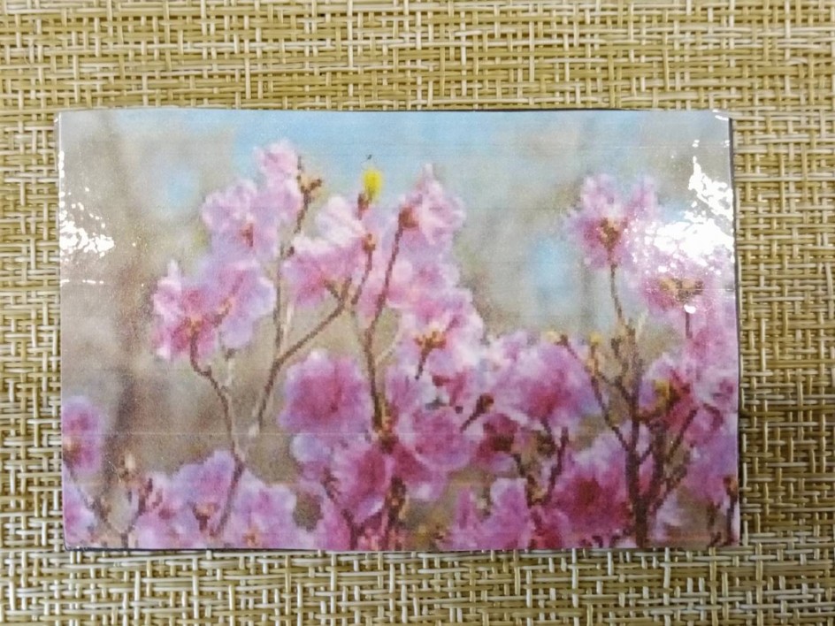 Весна пришла!