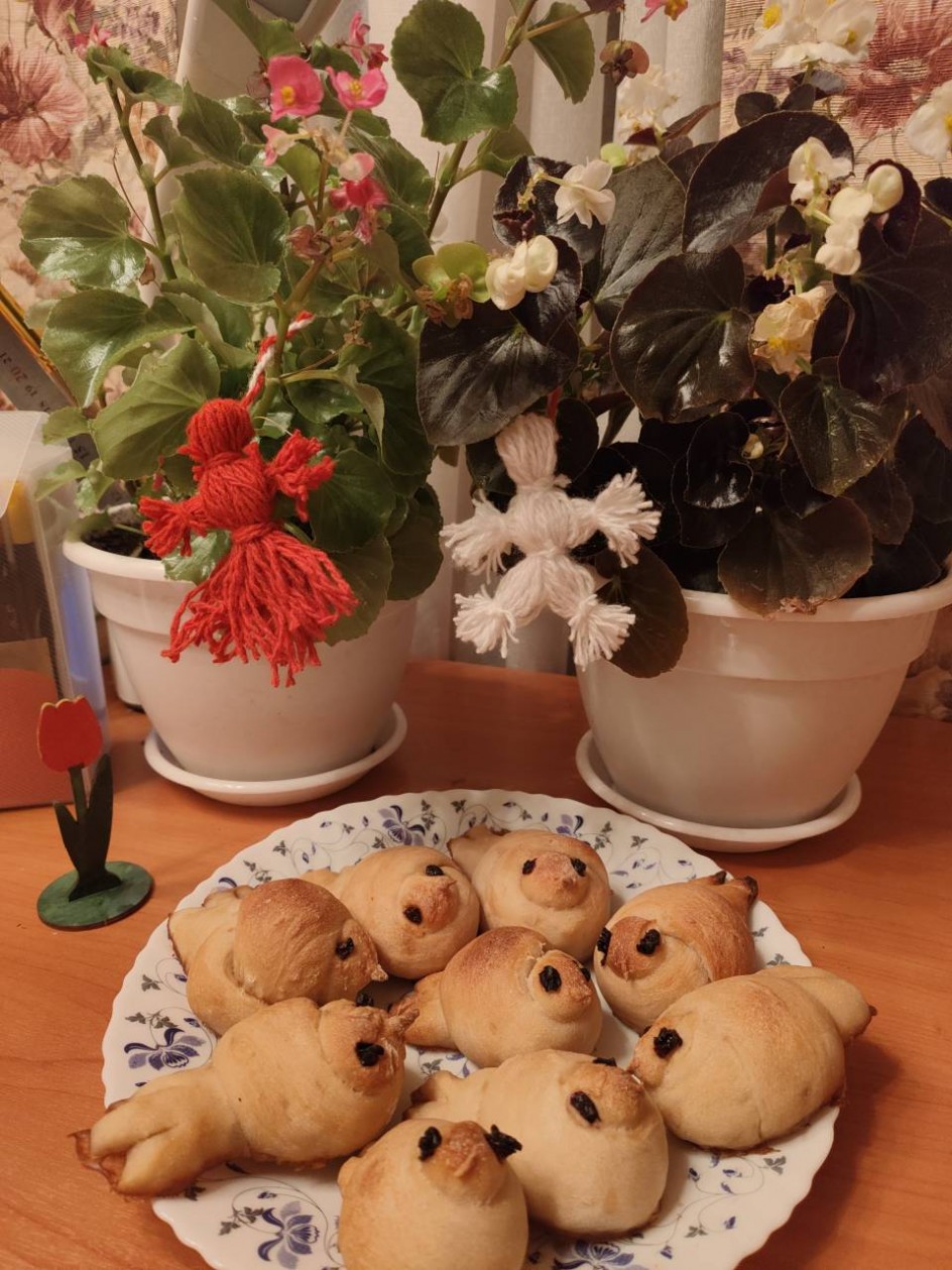 Мартинички и жаворонки