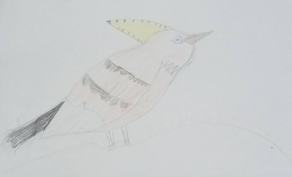 Птицы Красной книги. Удод