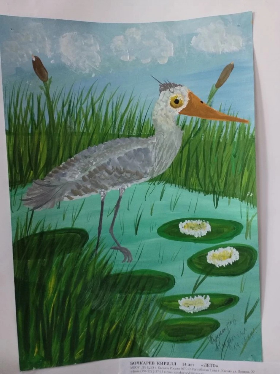 "Желтоглазая цапля"