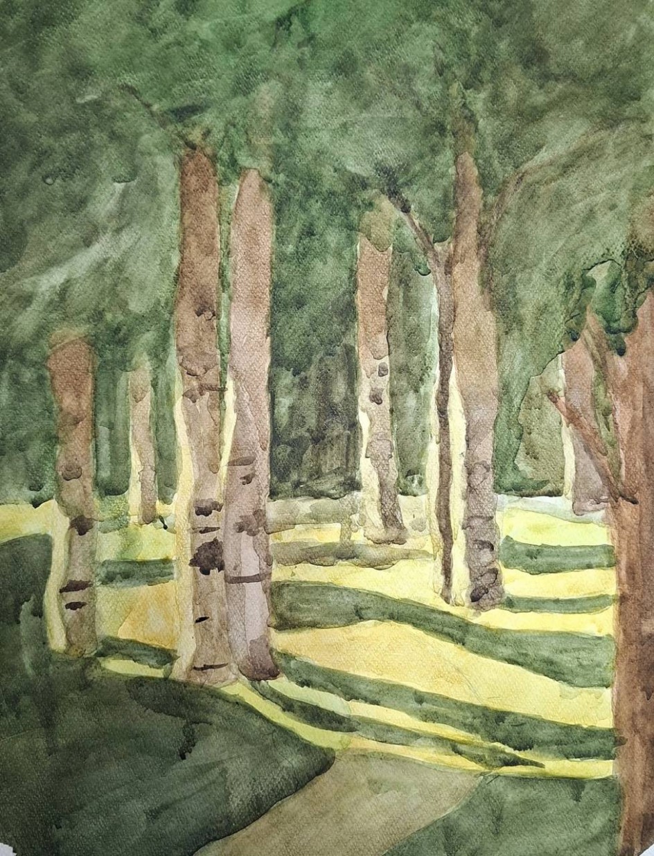 Солнечный свет в парке