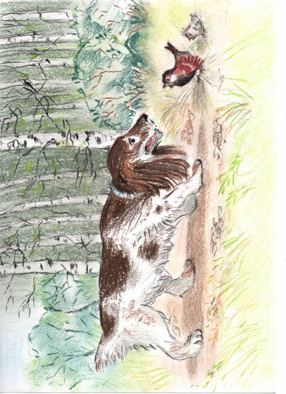 Собака и птичка