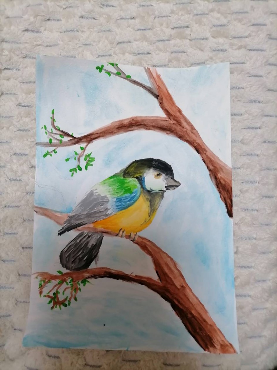 Синичка и весна.