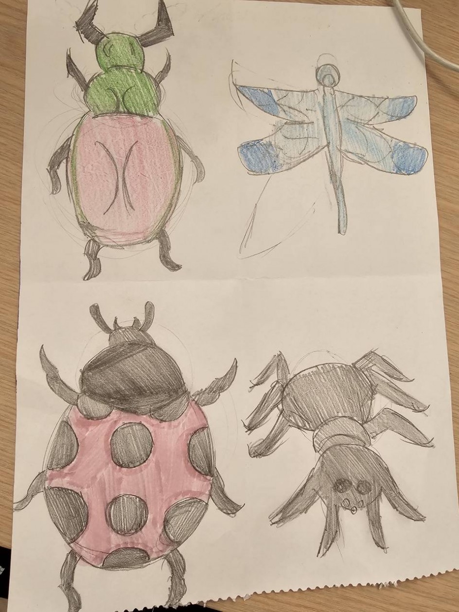 Маленькие обитатели планеты