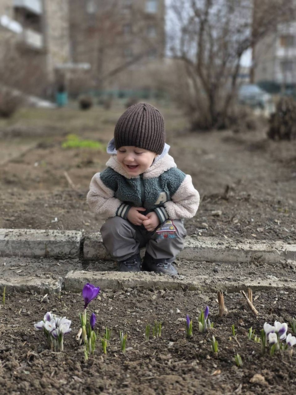 Первоцветы "Крокусы"