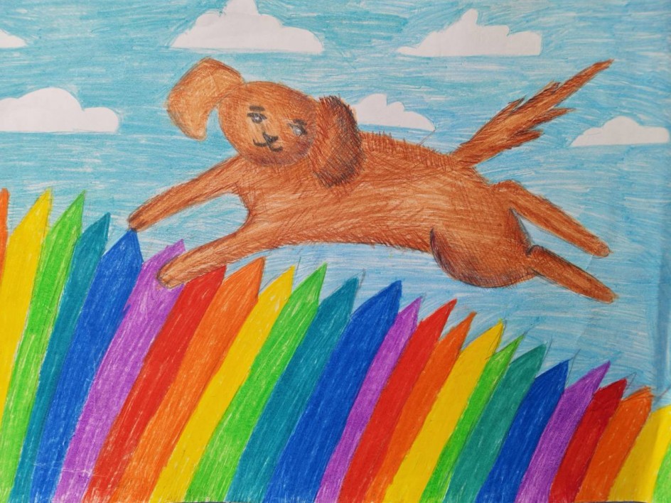 Радужный полет